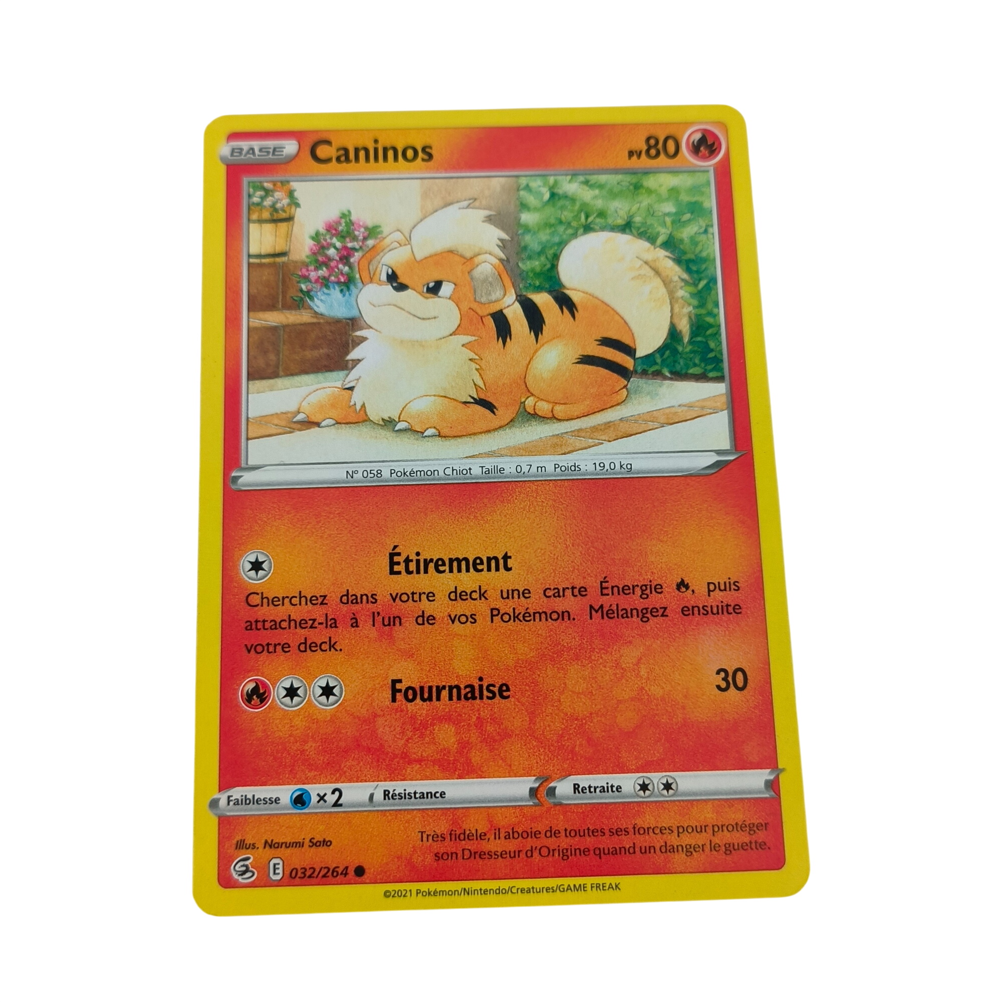 1 carte Pokémon-Caninos-Nintendo- à partir de 8 ans Très bon état - 20,00 € 1 carte Pokémon-Caninos-Nintendo- à partir de 8 ans Très bon état reconditionné disponible sur Label Emmaüs