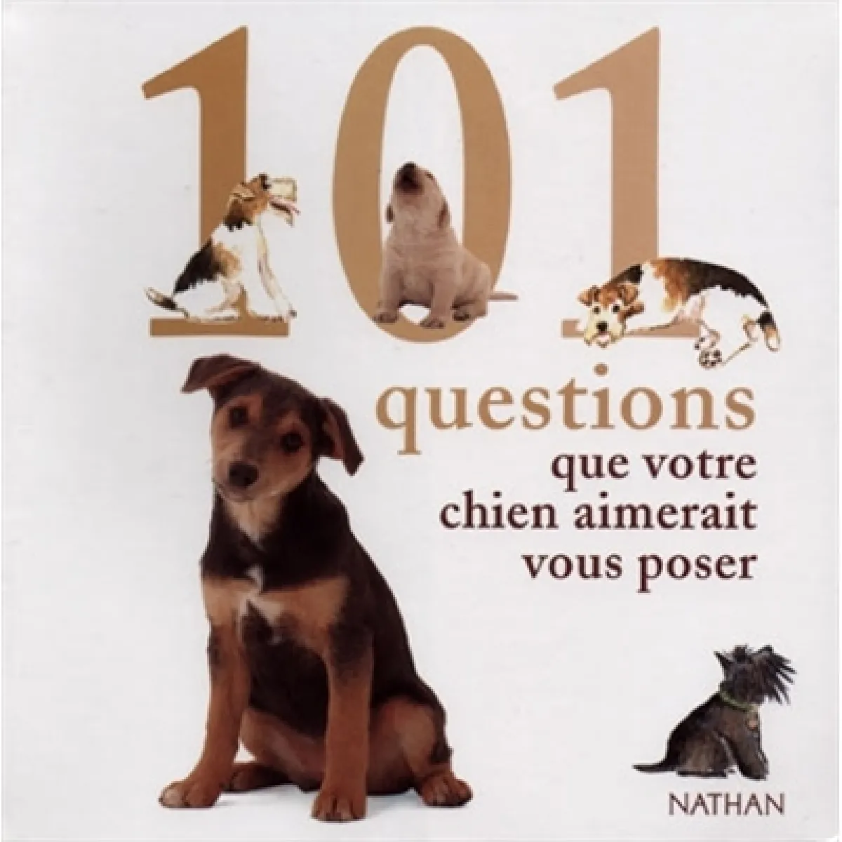 Acheter 101 questions que votre chien aimerait vous poser État correct - 10,00 € 101 questions que votre chien aimerait vous poser État correct N/A (Il ne s'agit pas d'une marque reconditionné disponible sur Rue du Commerce Seconde Vie