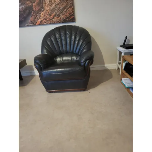 2 Fauteuils De Salon - Excellent État - Prix 60 Euros Chacun Bon état reconditionné disponible sur Rakuten