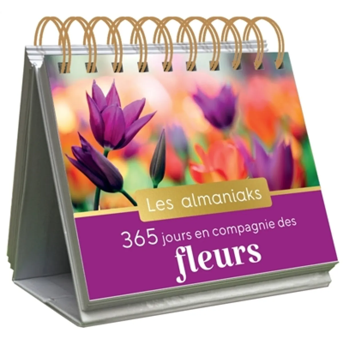 Acheter 365 jours en compagnie des fleurs État correct - 10,99 € 365 jours en compagnie des fleurs État correct N/A (Il ne s'agit pas d'une marque reconditionné disponible sur Rue du Commerce Seconde Vie