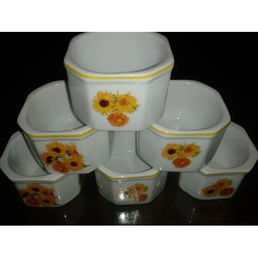 6 Ramesuins Van Gogh occasion reconditionné disponible sur Rakuten