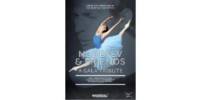A gala tribute DVD État correct reconditionné disponible sur Fnac
