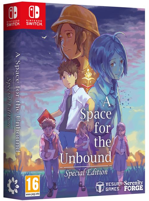 A Space for the Unbound Special Edition Nintendo SWITCH État correct N/A reconditionné disponible sur Fnac