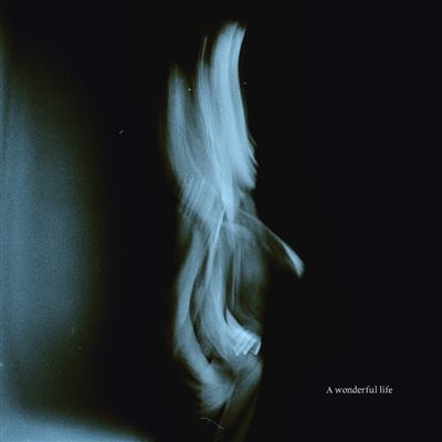 A Wonderful Life État correct reconditionné disponible sur Fnac | Dero