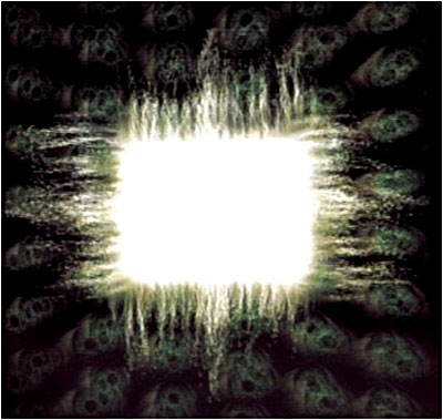 Aenima État correct reconditionné disponible sur Fnac