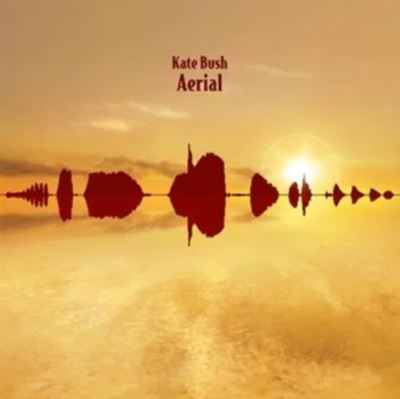 Aerial État correct - 29,07 € Aerial État correct reconditionné disponible sur Fnac