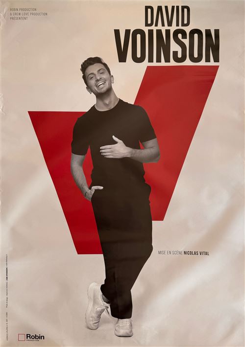 Affiche - David Voinson - 70x100cm État correct N/A reconditionné disponible sur Fnac