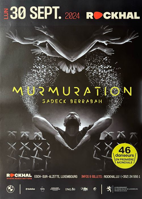 Affiche - Murmuration - Sadeck Berrabah - Luxembourg 2024 - 60x86cm État correct N/A reconditionné disponible sur Fnac