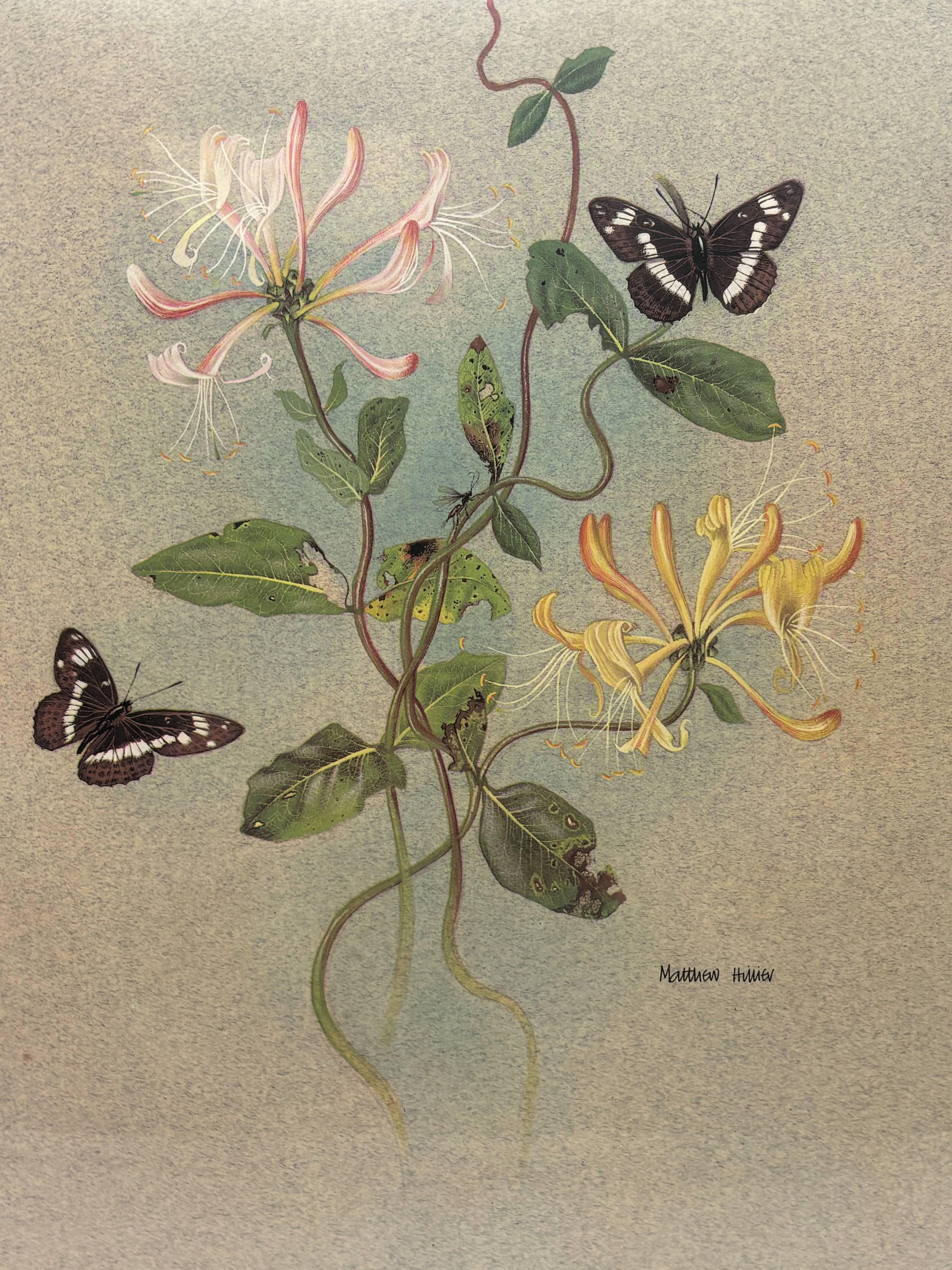 Voir photo 2 de Affiche sous-verres - Chèvrefeuille et papillons Affiche sous-verres - Chèvrefeuille et papillons Très bon état reconditionné photo 2