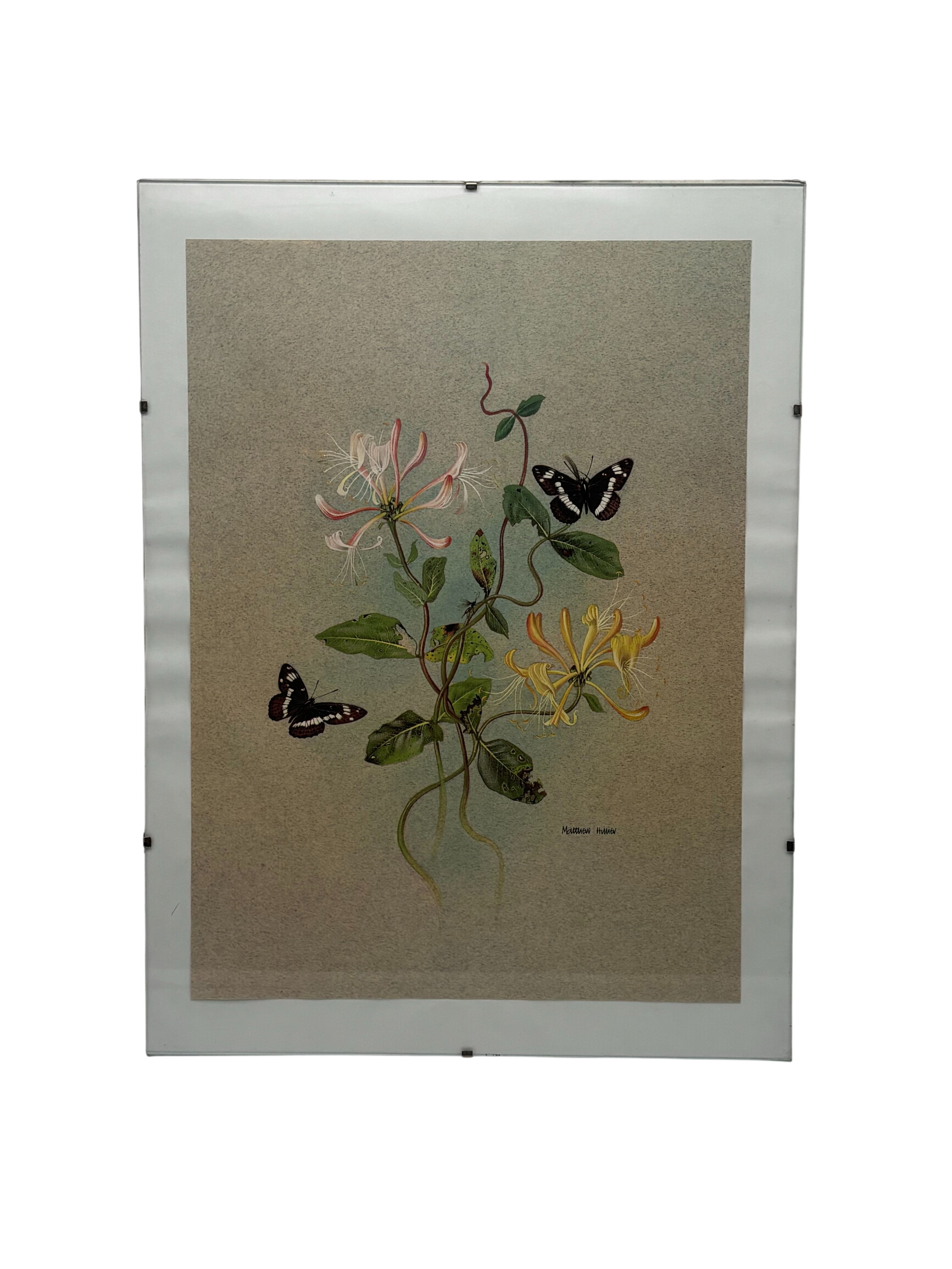 Affiche sous-verres - Chèvrefeuille et papillons Très bon état - 16,00 € Affiche sous-verres - Chèvrefeuille et papillons Très bon état reconditionné disponible sur Label Emmaüs