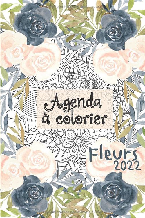 Agenda civil 2022 à colorier Fleurs - Grand format 15,24 x 22,86 cm - 167 pages - Semainier État correct N/A reconditionné disponible sur Fnac