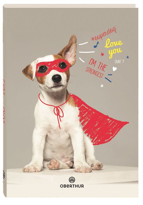 Acheter Agenda rigide Oberthur Chien Superdog 1 jour/page État correct - 29,07 € Agenda rigide Oberthur Chien Superdog 1 jour/page État correct reconditionné disponible sur Fnac