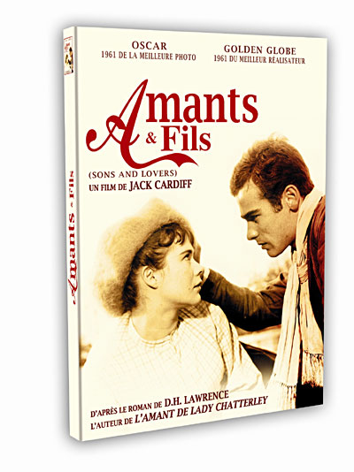Acheter Amants et Fils État correct - 15,89 € Amants et Fils État correct reconditionné disponible sur Fnac