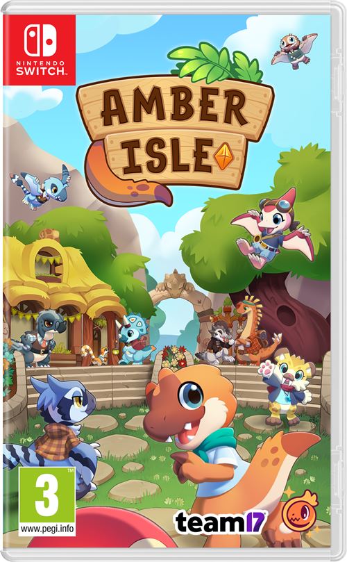 Amber Isle Nintendo Switch État correct reconditionné disponible sur Fnac