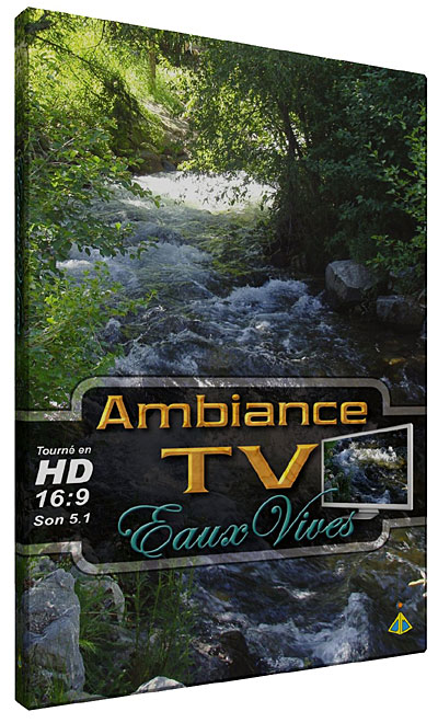 Ambiance TV - Les Eaux vives État correct - 19,00 € Ambiance TV - Les Eaux vives État correct reconditionné disponible sur Fnac