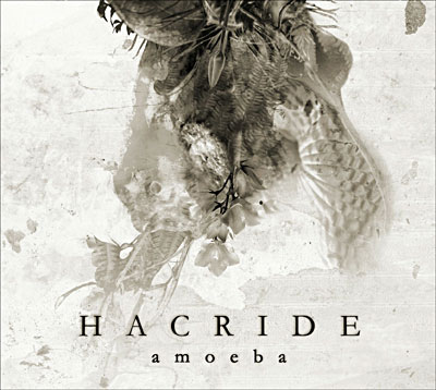 Acheter Amoeba État correct - 12,39 € | Dero Amoeba État correct reconditionné disponible sur Fnac | Dero