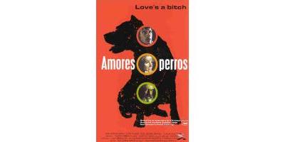 AMORES PERROS/JP ST FR NL État correct reconditionné disponible sur Fnac
