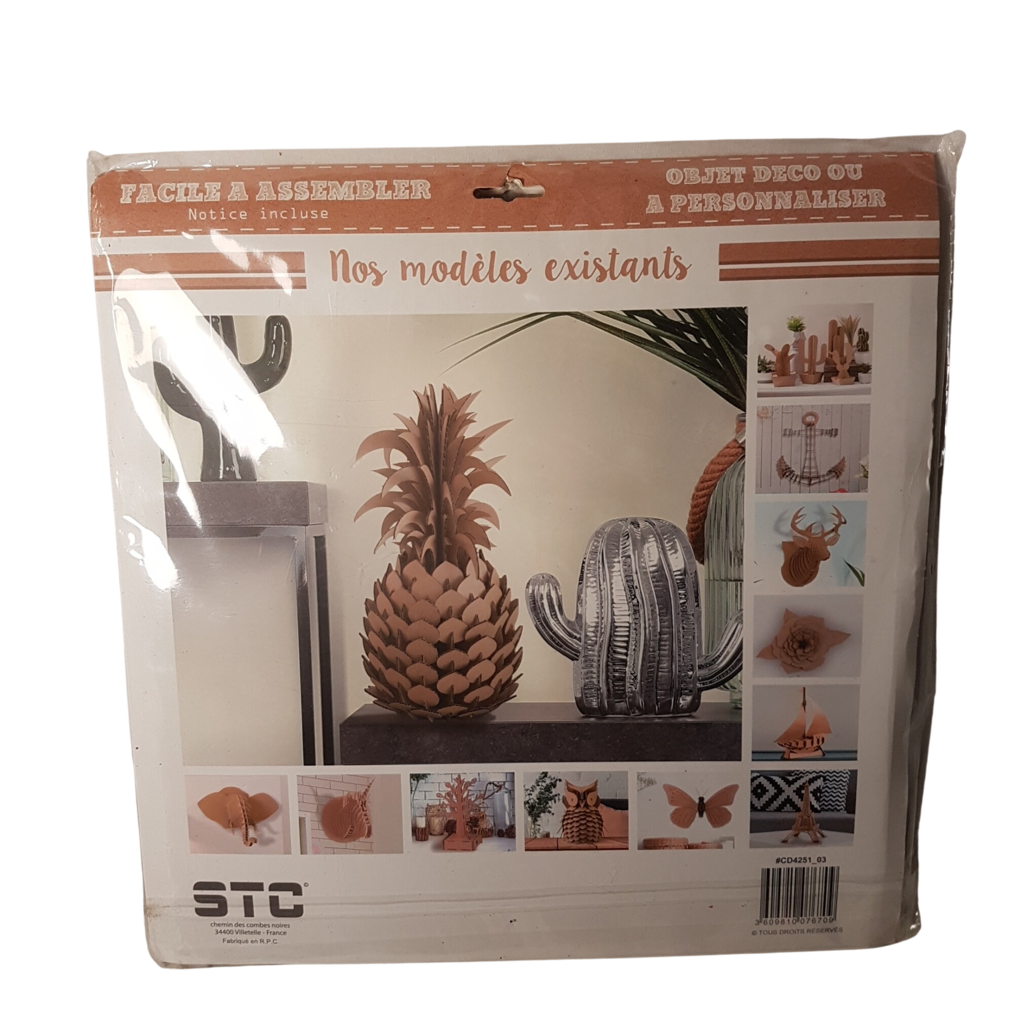 Acheter Ananas en carton à assembler comme neuf Parfait état - 11,00 € Ananas en carton à assembler comme neuf Parfait état reconditionné disponible sur Label Emmaüs