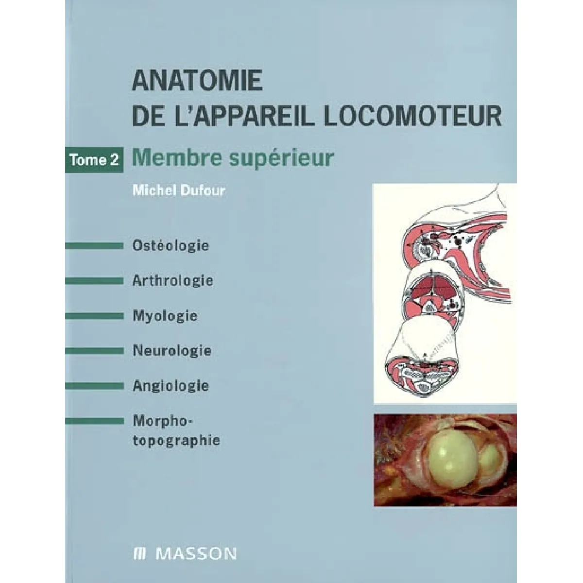 Acheter Anatomie de l'appareil locomoteur : ostéologie, arthrologie, myologie, neurologie, angiologie, morpho-topographie. Vol. 2. Membre supérieur : ostéologie, arthrologie, myologie, neurologie, angiologie, morpho-topographie État correct - 11,53 € Anatomie de l'appareil locomoteur : ostéologie, arthrologie, myologie, neurologie, angiologie, morpho-topographie. Vol. 2. Membre supérieur : ostéologie, arthrologie, myologie, neurologie, angiologie, morpho-topographie État correct N/A (Il ne s'agit pas d'une marque reconditionné disponible sur Rue du Commerce Seconde Vie