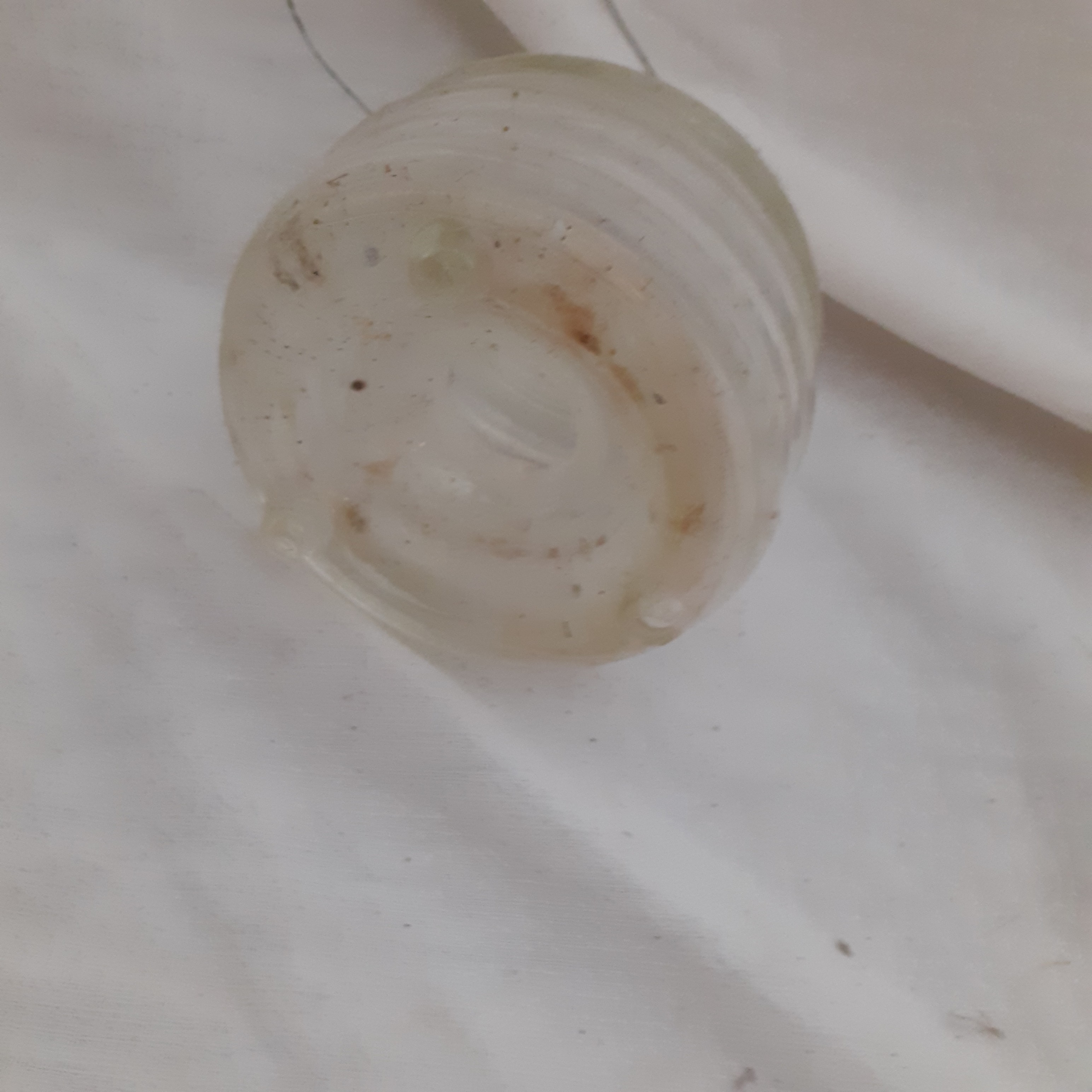 Voir photo 4 de Ancien Petit piège à guêpes en verre Ancien Petit piège à guêpes en verre Bon état reconditionné photo 4