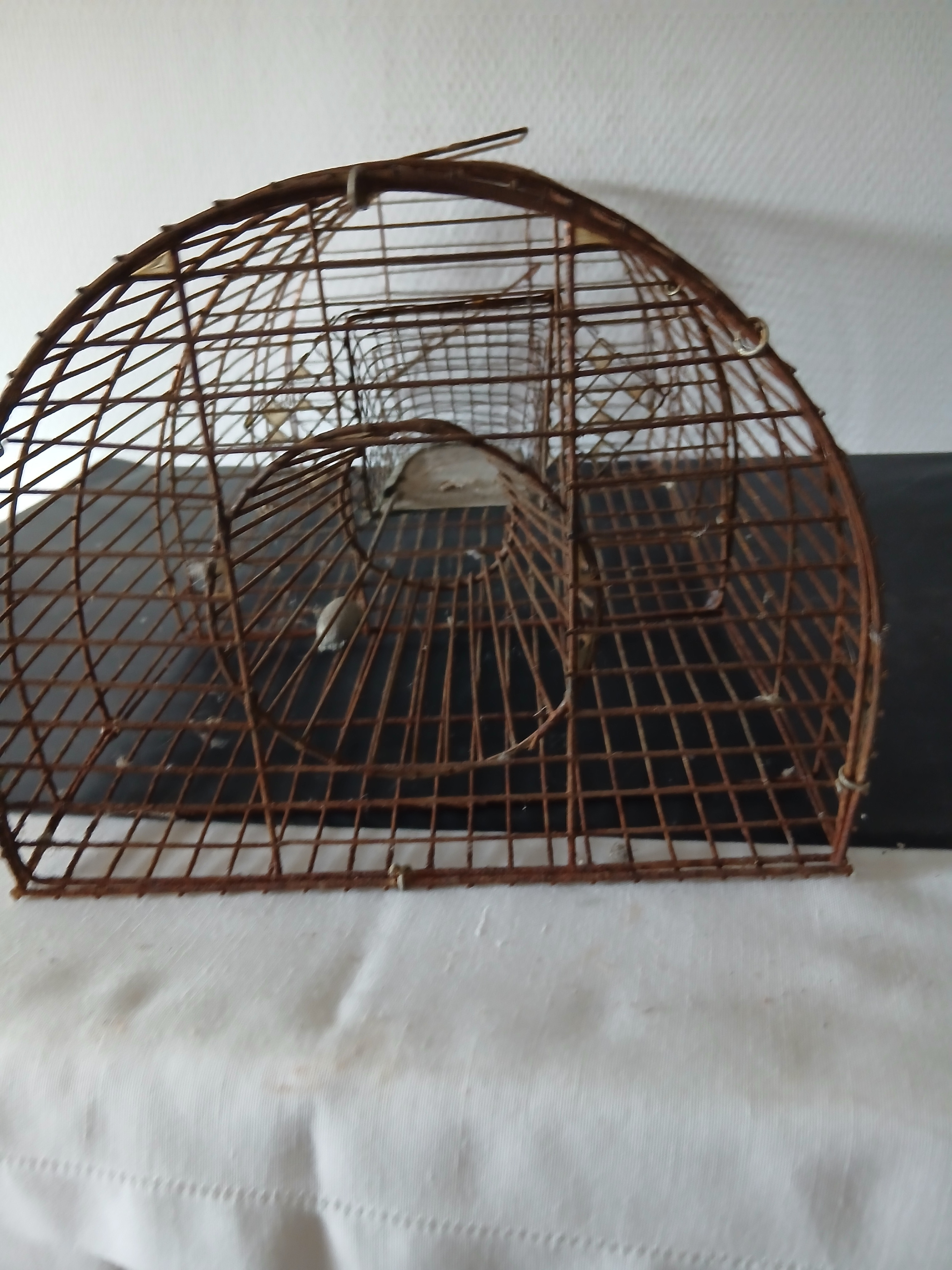 Voir photo 2 de Ancien piège fonctionnel en métal pour piéger souris et rats Ancien piège fonctionnel en métal pour piéger souris et rats Bon état reconditionné photo 2