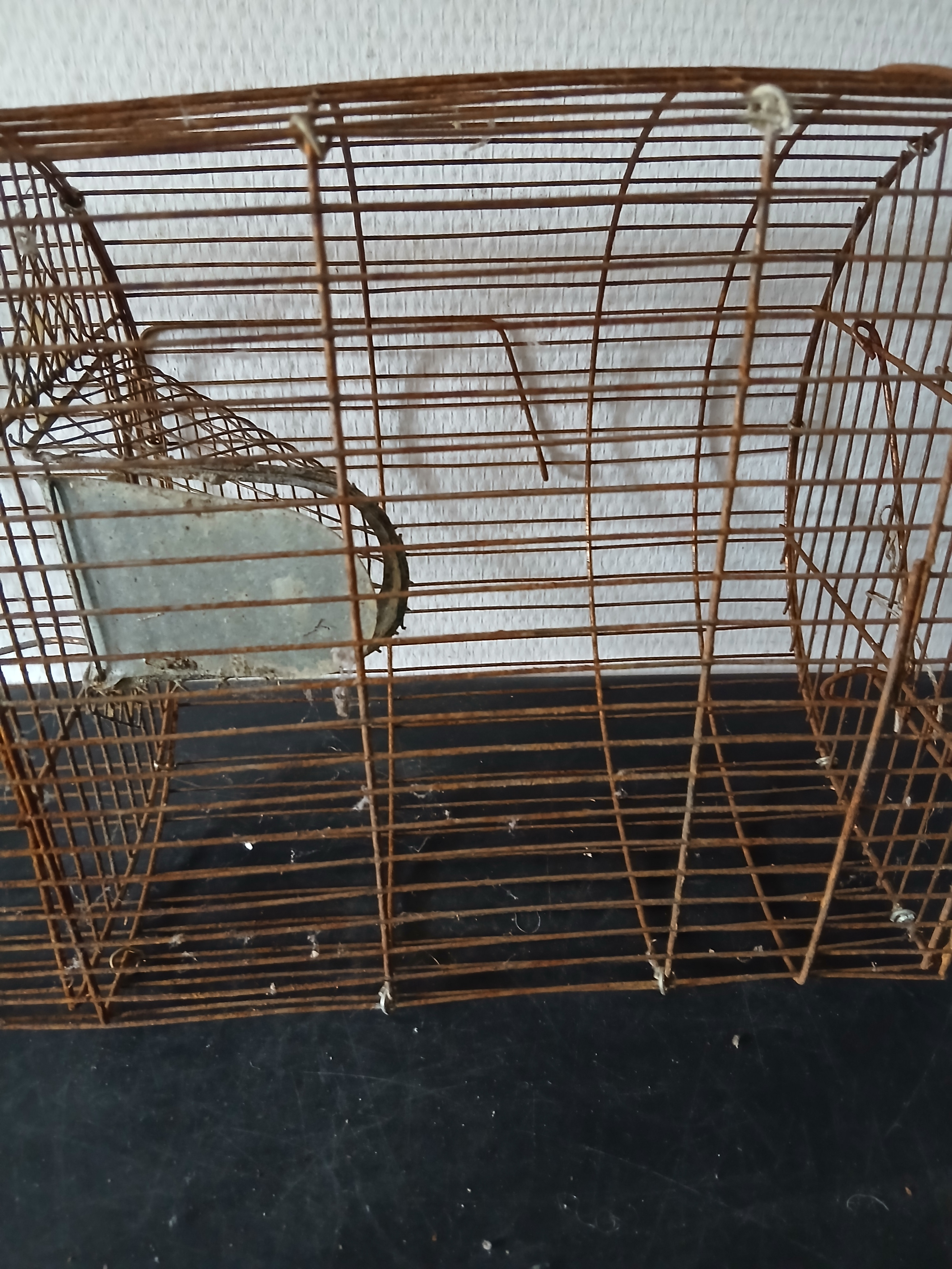 Voir photo 9 de Ancien piège fonctionnel en métal pour piéger souris et rats Ancien piège fonctionnel en métal pour piéger souris et rats Bon état reconditionné photo 9