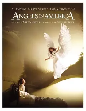 Acheter Angels in America - Mike Nichols Bon état - 19,39 € Angels in America - Mike Nichols Bon état Warner Home Video reconditionné disponible sur Ammareal