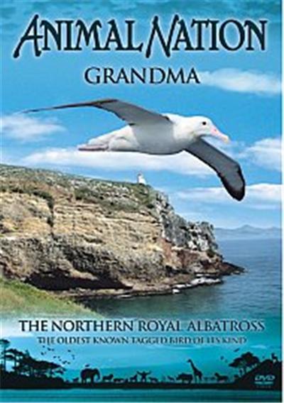 Animal Nation - Grandma - Northern Royal Albatross État correct reconditionné disponible sur Fnac