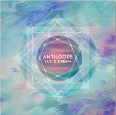 Acheter Antiloops - Lucid Dream État correct - 10,88 € Antiloops - Lucid Dream État correct reconditionné disponible sur Label Emmaüs