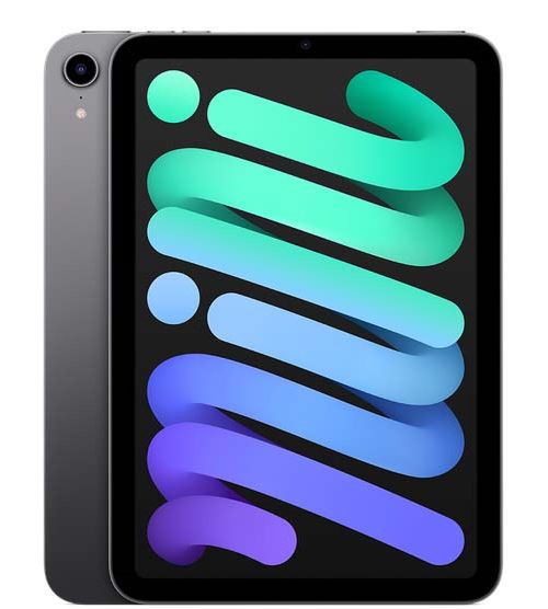 Apple iPad Mini 8,3" 64 Go Gris sidéral Wifi 6 ème génération 2021 État correct Apple reconditionné disponible sur Fnac