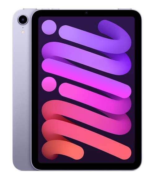 Apple iPad Mini 8,3" 64 Go Mauve Wifi 6 ème génération 2021 État correct Apple reconditionné disponible sur Fnac