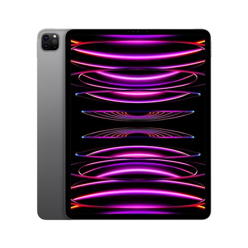 Apple iPad Pro 12,9" Puce Apple M2 2To Gris Sidéral Wifi Fin 2022 État correct Apple reconditionné disponible sur Fnac