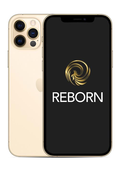 Apple iPhone 12 Pro 6,1" 5G 128 Go Double SIM Or Reconditionné Grade A Reborn État correct N/A reconditionné disponible sur Fnac