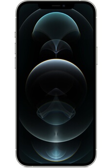 APPLE IPHONE 12 PRO Max 256Go SILVER 5G Très bon état Apple reconditionné disponible sur Darty