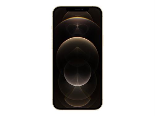 Apple iPhone 12 Pro Max - 5G smartphone - double SIM / Mémoire interne 256 Go - écran OLED - 6.7" - 2778 x 1284 pixels - 3 x caméras arrière 12 MP, 12 MP, 12 MP - front camera 12 MP - or État correct N/A reconditionné disponible sur Fnac