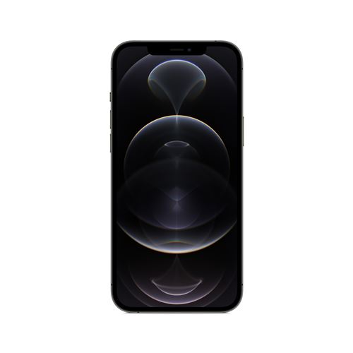 Apple iPhone 12 Pro Max 6,7" 128 Go Double SIM 5G Graphite État correct Apple reconditionné disponible sur Fnac