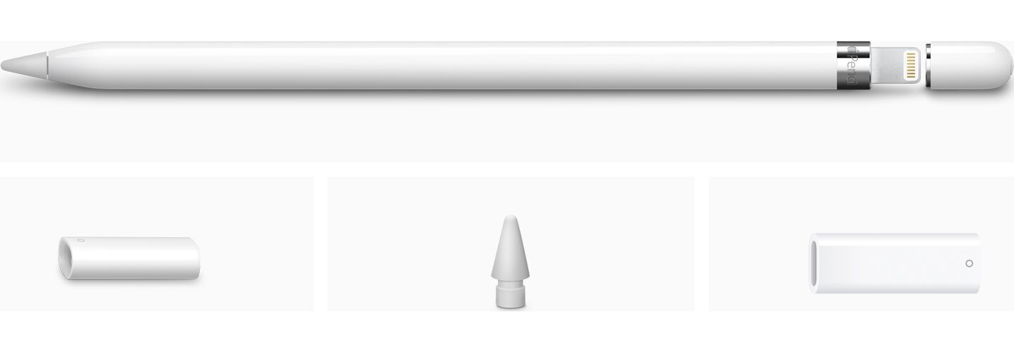 Apple Pencil 1re gén. (2022) Blanc Parfait état Apple reconditionné disponible sur Refurbed | Dero