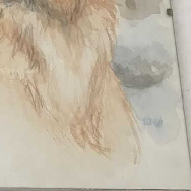Voir photo 3 de Aquarelle "Golden Retriever" Sous verre Aquarelle "Golden Retriever" Sous verre Bon état reconditionné photo 3