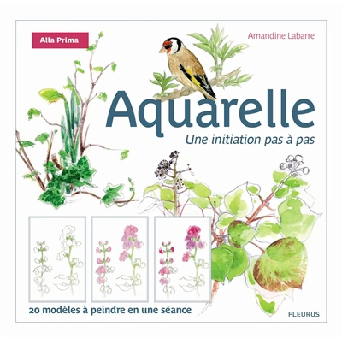 Acheter Aquarelle : une initiation pas à pas État correct - 10,39 € Aquarelle : une initiation pas à pas État correct N/A (Il ne s'agit pas d'une marque reconditionné disponible sur Rue du Commerce Seconde Vie