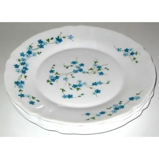 Assiette Arcopal Plates Opaline Myosotis Veronica 23 Cm Blanc Et Bleu Vaisselle Luminarc Incassable Resistante Au Variation Temperature occasion reconditionné disponible sur Rakuten
