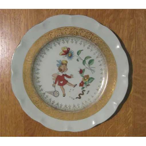Assiette De Collection Bon état reconditionné disponible sur Rakuten
