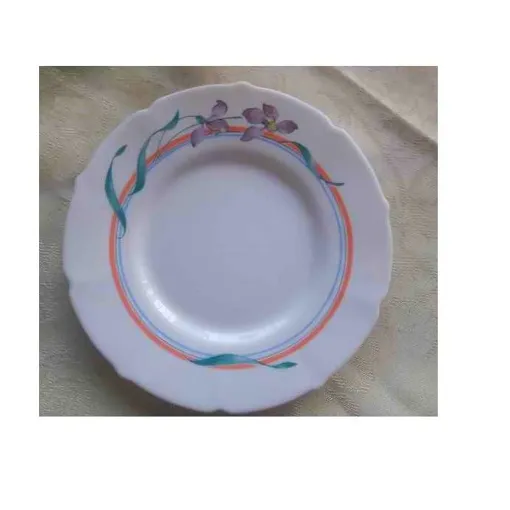 Assiette Plat Arcopale Arcoroc Verre Decor Blanc Avec Vegetation Fleur Violette Liseret Orange Retro Vintage Incassable Resistant Temperature Passe Au Micro Onde Lave Vaisselle Legere Solide Elegante Bon état reconditionné disponible sur Rakuten