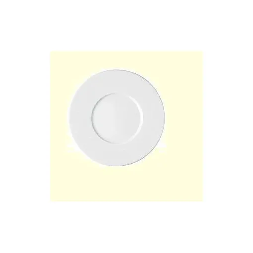 Assiette Plat Blanc 20 Cm Vaisselle Arcoroc Arcopal Luminarc Ultra Resistant Restaurant Art Table Incassable Anti Chocs Classic Hors D Oeuvre Soucoupe Solide A Chaleur Repas Dessert Service Micro Onde Bon état reconditionné disponible sur Rakuten