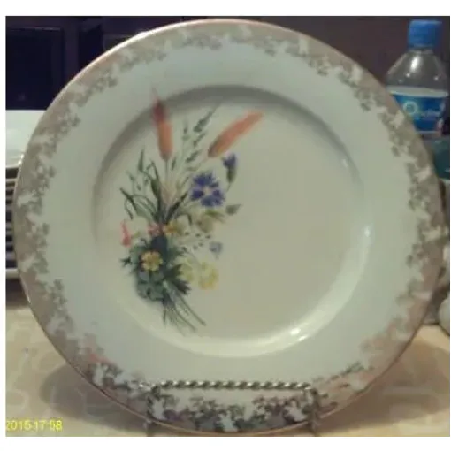 Acheter Assiette Plate - En " Porcelaine De Limoges - France " occasion - 12,00 € Assiette Plate - En " Porcelaine De Limoges - France " occasion reconditionné disponible sur Rakuten