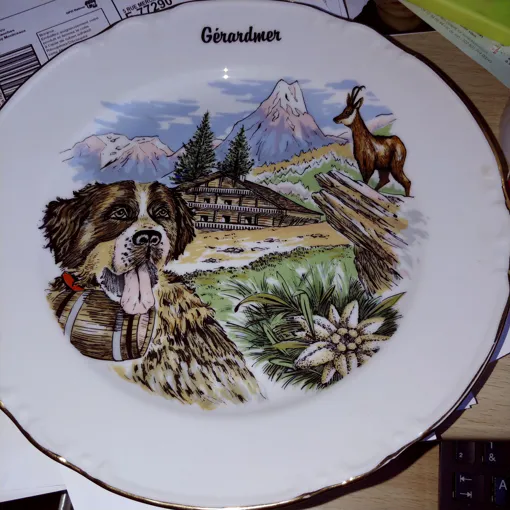 Assiette Porcelaine Gerardmer occasion reconditionné disponible sur Rakuten