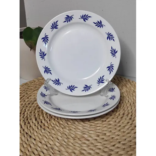 Assiettes À Dessert Feuilles Bleues occasion reconditionné disponible sur Rakuten