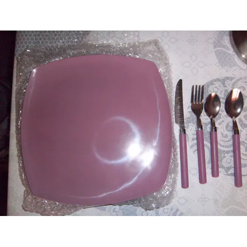 Assiettes+Couverts Bon état - 12,90 € Assiettes+Couverts Bon état reconditionné disponible sur Rakuten
