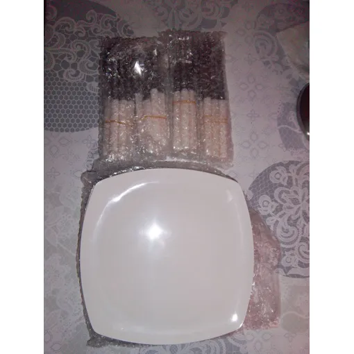 Assiettes+Couverts Bon état - 12,70 € Assiettes+Couverts Bon état reconditionné disponible sur Rakuten
