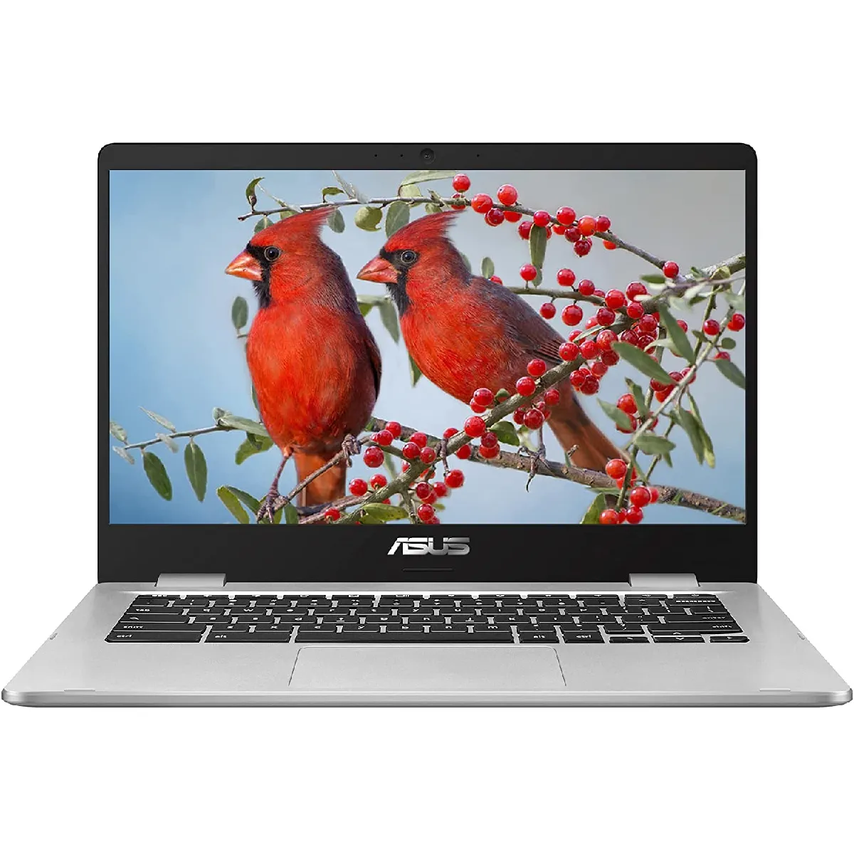 ASUS ChromeBook C424MA-BV0305 / Celeron / RAM 4 GB / 14,0? HD Reconditionné - 186,00 € ASUS ChromeBook C424MA-BV0305 / Celeron / RAM 4 GB / 14,0? HD Reconditionné Asus reconditionné disponible sur Rue du Commerce Seconde Vie