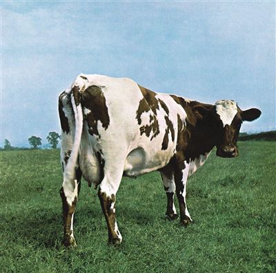 Atom Heart Mother État correct reconditionné disponible sur Fnac